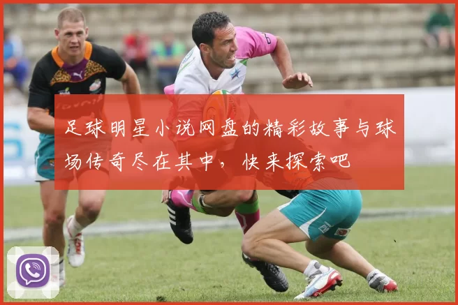 足球明星小说网盘的精彩故事与球场传奇尽在其中，快来探索吧