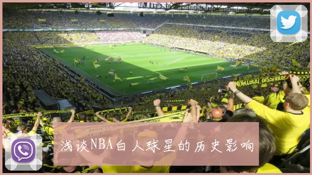 浅谈NBA白人球星的历史影响