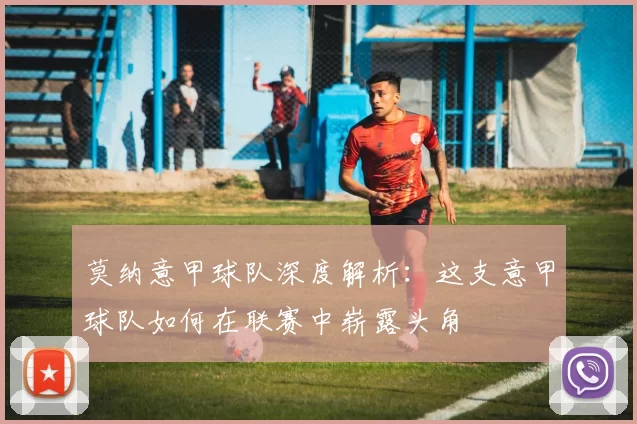 莫纳意甲球队深度解析：这支意甲球队如何在联赛中崭露头角