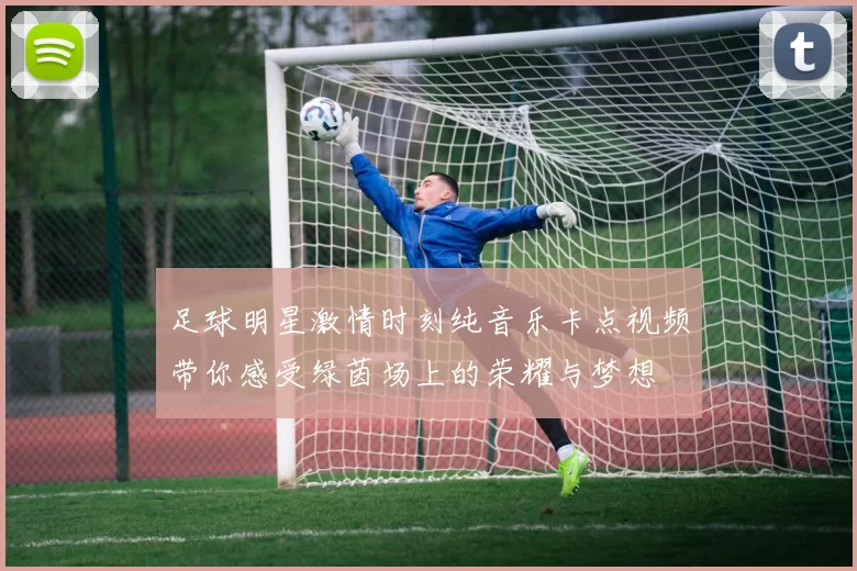 足球明星激情时刻纯音乐卡点视频带你感受绿茵场上的荣耀与梦想