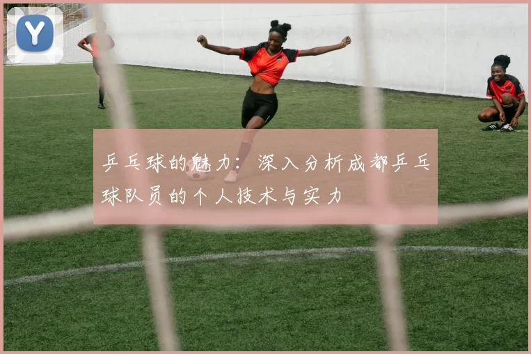 乒乓球的魅力：深入分析成都乒乓球队员的个人技术与实力