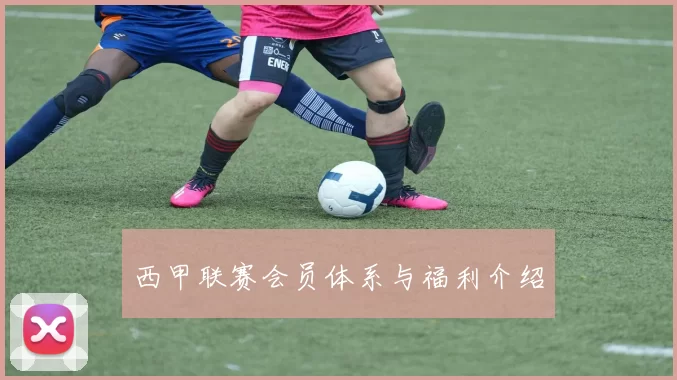 西甲联赛会员体系与福利介绍