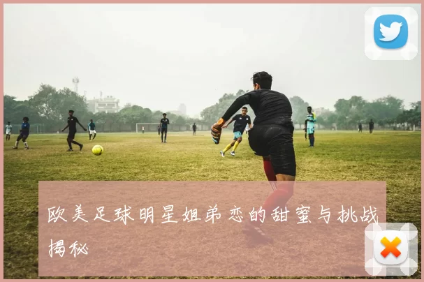 欧美足球明星姐弟恋的甜蜜与挑战揭秘