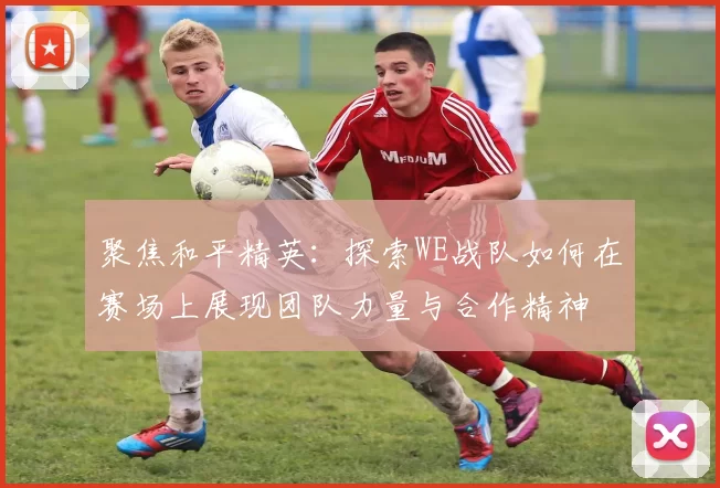 聚焦和平精英：探索WE战队如何在赛场上展现团队力量与合作精神