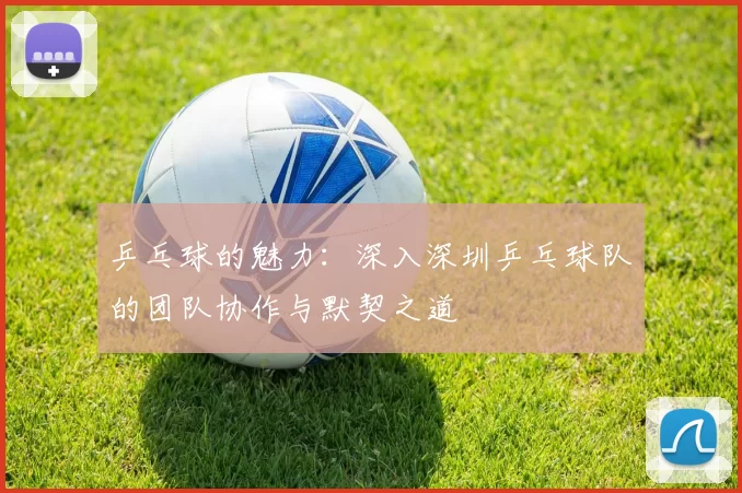 乒乓球的魅力：深入深圳乒乓球队的团队协作与默契之道