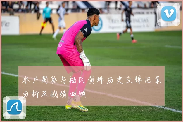 水户蜀葵与福冈黄蜂历史交锋记录分析及战绩回顾