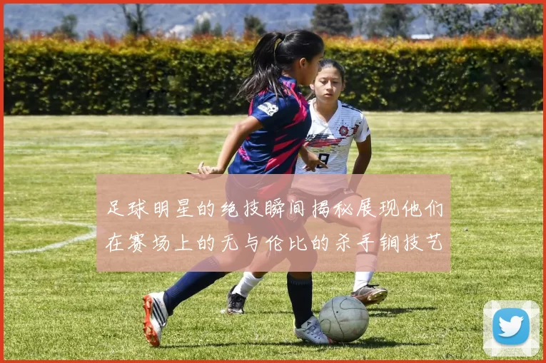 足球明星的绝技瞬间揭秘展现他们在赛场上的无与伦比的杀手锏技艺
