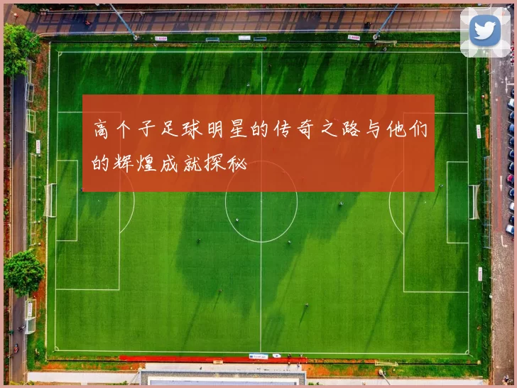 高个子足球明星的传奇之路与他们的辉煌成就探秘