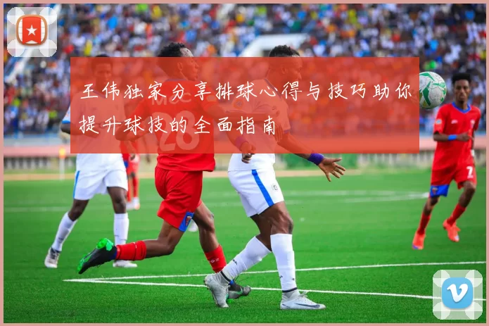 王伟独家分享排球心得与技巧助你提升球技的全面指南
