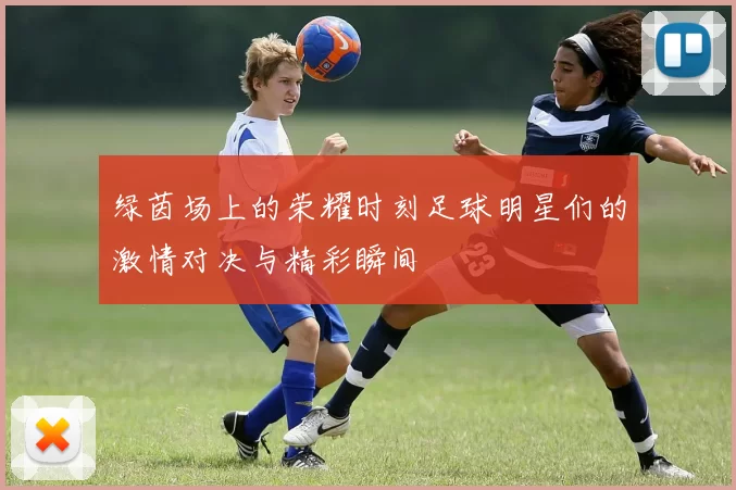 绿茵场上的荣耀时刻足球明星们的激情对决与精彩瞬间