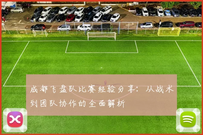 成都飞盘队比赛经验分享：从战术到团队协作的全面解析