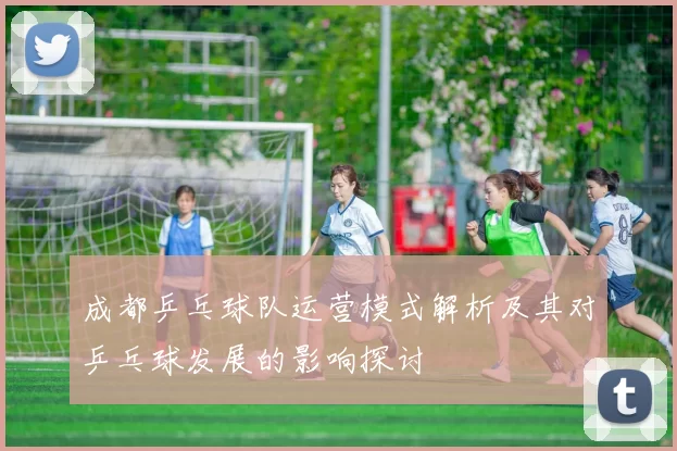 成都乒乓球队运营模式解析及其对乒乓球发展的影响探讨