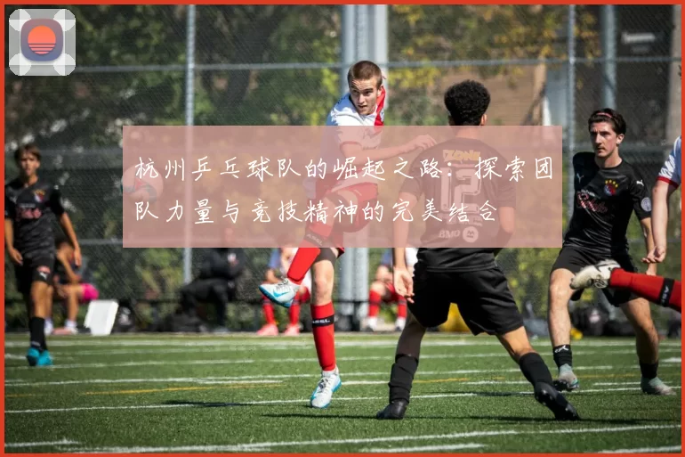 杭州乒乓球队的崛起之路：探索团队力量与竞技精神的完美结合