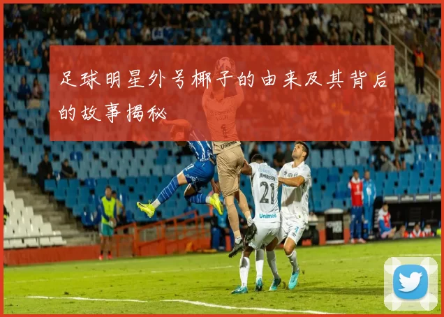 足球明星外号椰子的由来及其背后的故事揭秘