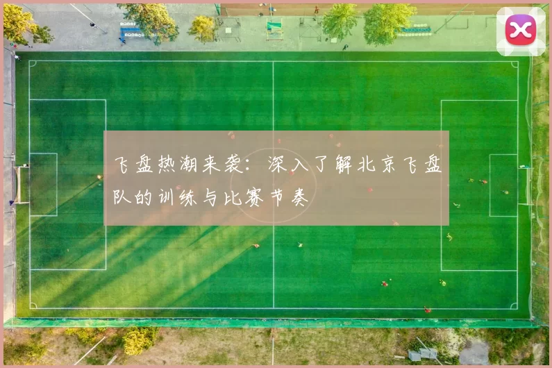 飞盘热潮来袭：深入了解北京飞盘队的训练与比赛节奏